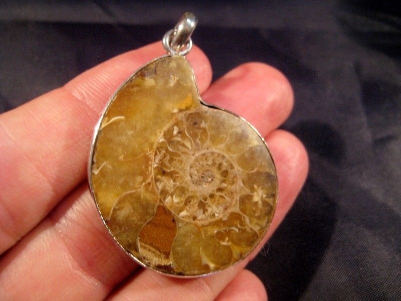 925 Silver Ammonite Sea Fossil Pendant Dinosaur Era A