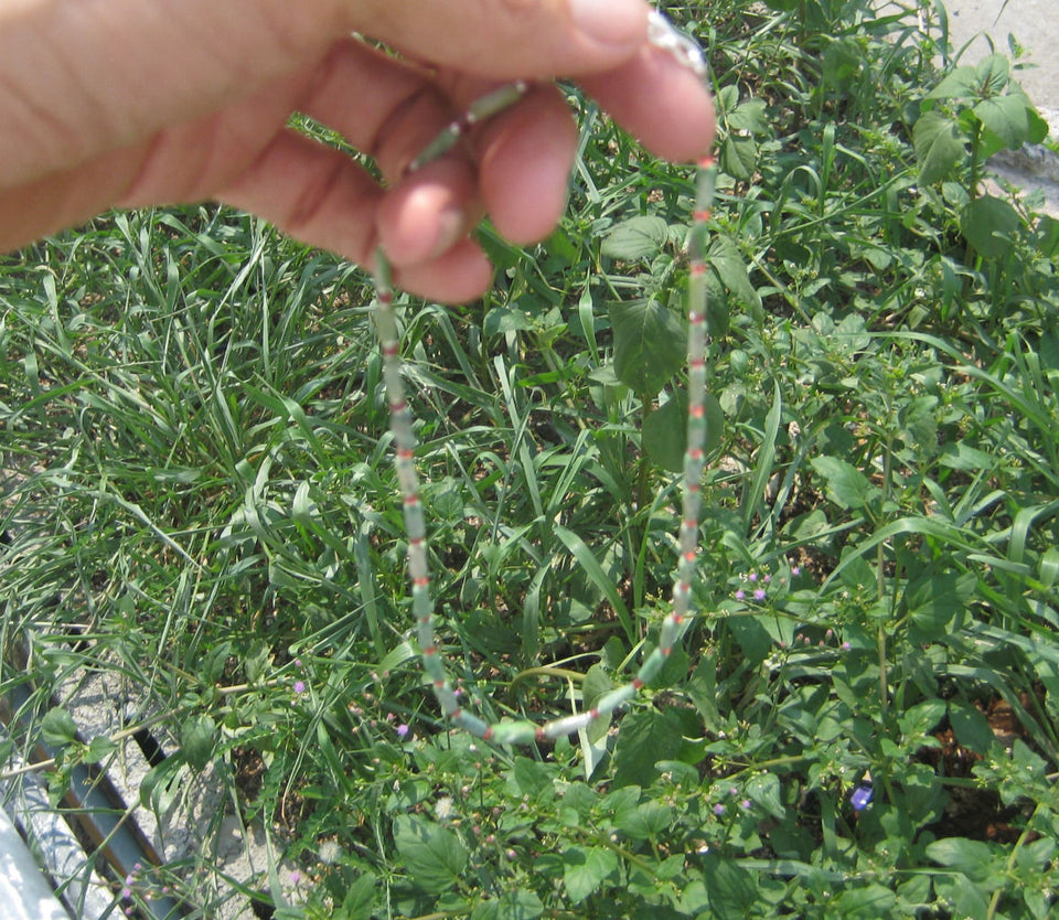 925 Silver Old Roman Glass  Garnet Bead necklace Afghanistan Jewelry art A72