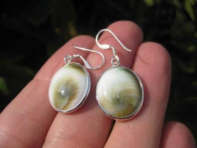 925 Silver Shiva eye shell earrings earring Thailand jewelry art N2766