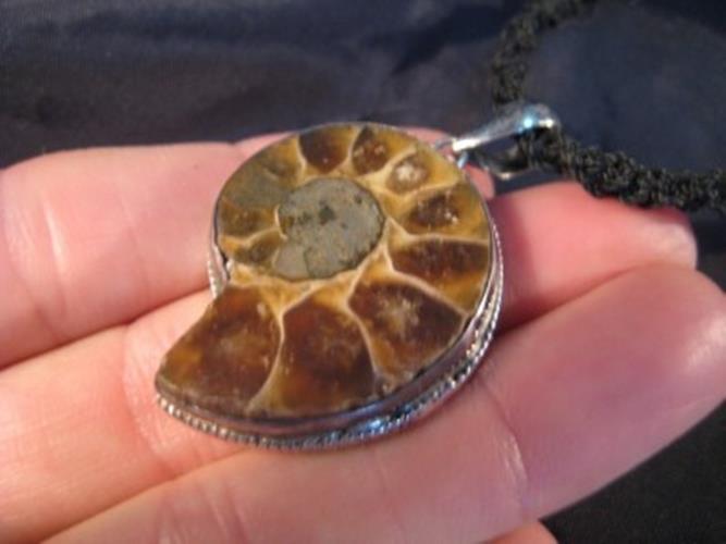 925 Silver Ammonite fossil pendant necklace N65443