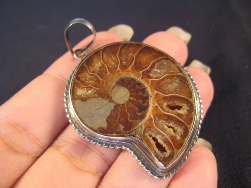 925 Silver ammonite ancient marine fossil pendant N3822