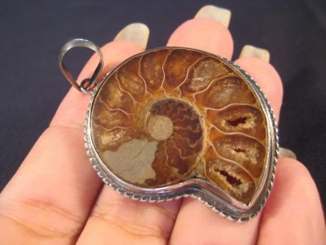 925 Silver ammonite ancient marine fossil pendant N3822