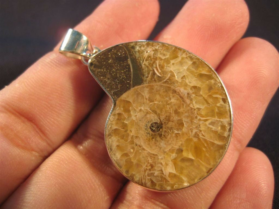 925 Silver Ammonite Fossil Pendant Dinosaur Era N3855