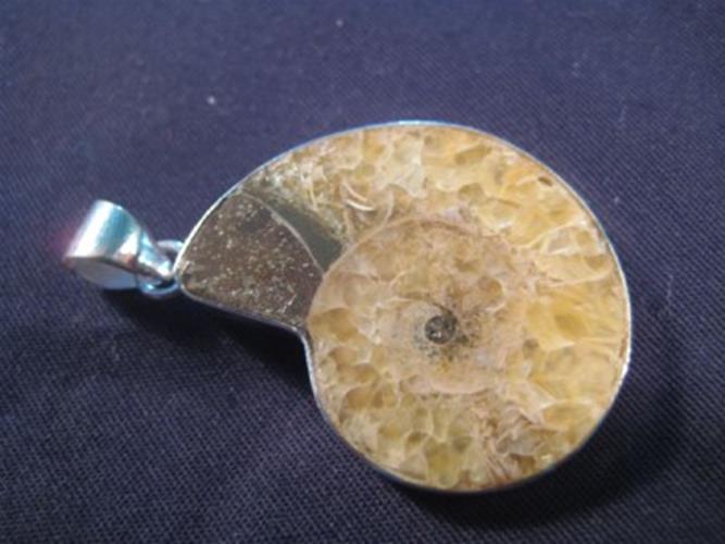 925 Silver Ammonite Fossil Pendant Dinosaur Era N3855