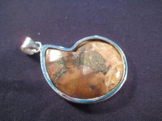 925 Silver Ammonite Fossil Pendant Dinosaur Era N3855
