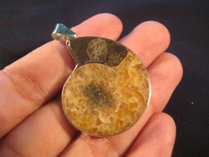 925 Silver Ammonite Fossil Pendant Dinosaur Era N3855