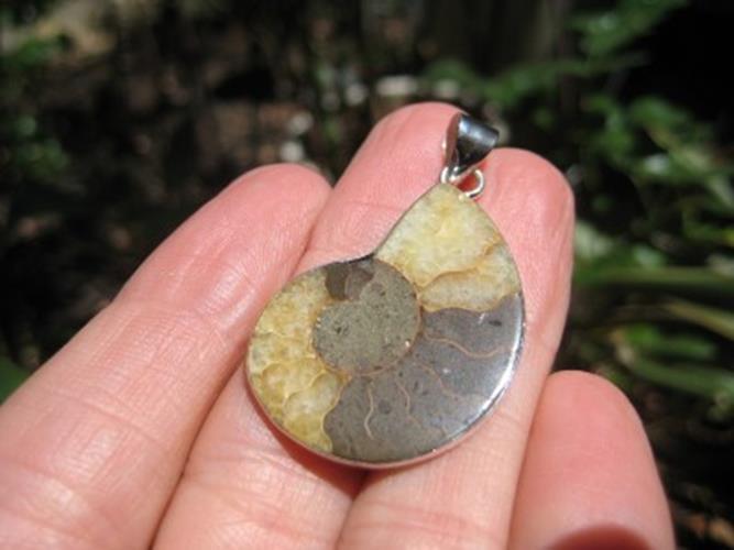 African Ammonite fossil pendant necklace N3877