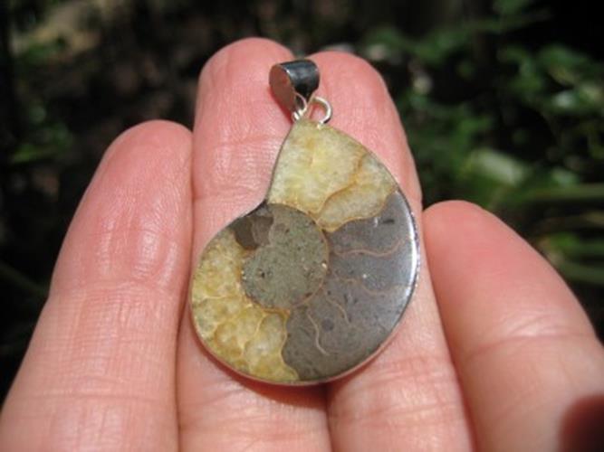 African Ammonite fossil pendant necklace N3877