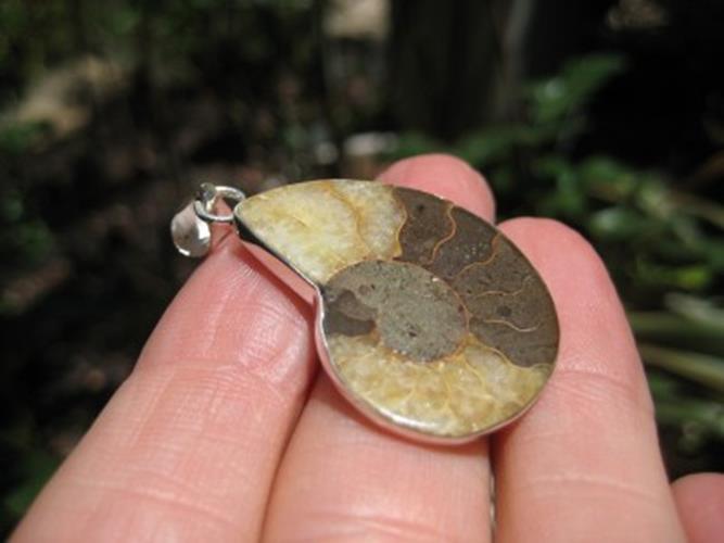 African Ammonite fossil pendant necklace N3877