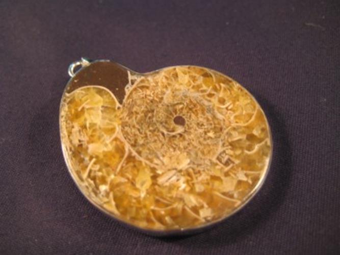 925 Silver pendant ancient sea ammonite fossil N3988