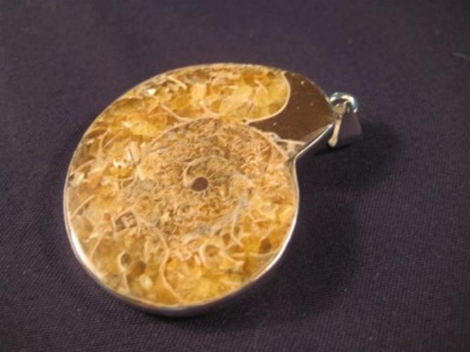 925 Silver pendant ancient sea ammonite fossil N3988