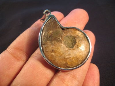 925 Silver Ammonite Sea Fossil Pendant Dinosaur Era A
