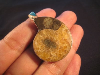925 Silver Ammonite Sea Fossil Pendant Dinosaur Era A