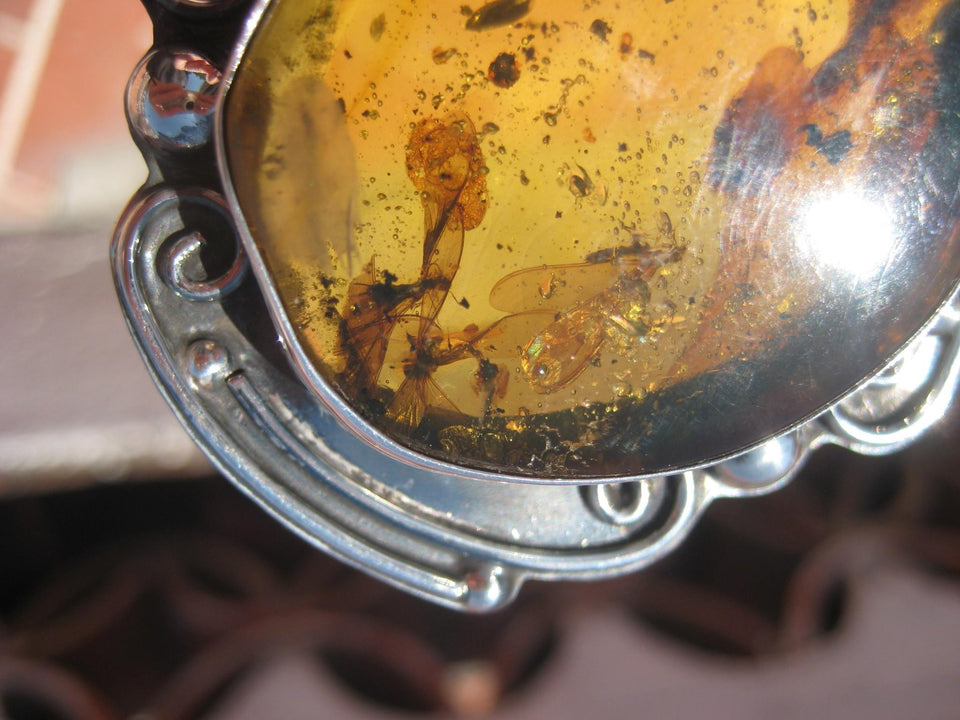 925 Silver Natural Chiapas Amber Australian Opal insect four flying ants A26433