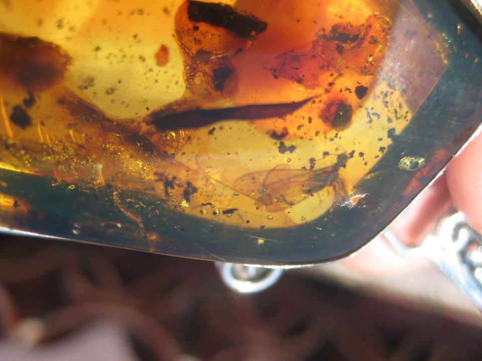 925 Silver Natural Chiapas Amber Australian Opal insect four flying ants A26433