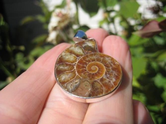 925 Silver African Madagascar Ammonite fossil pendant N2877