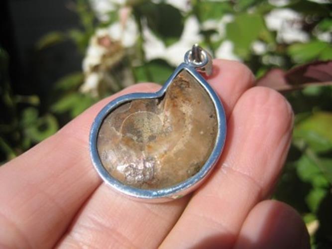 925 Silver African Madagascar Ammonite fossil pendant N2877