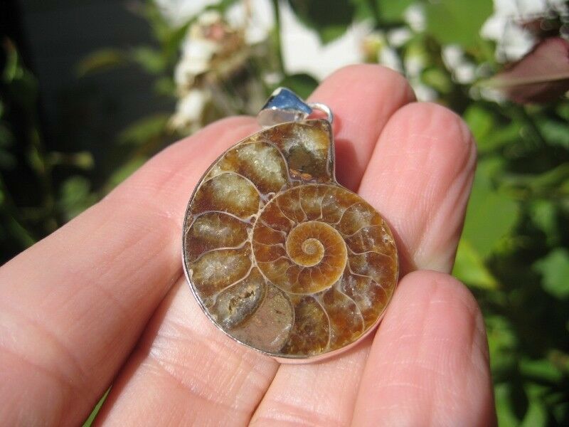 925 Silver African Madagascar Ammonite fossil pendant N2877