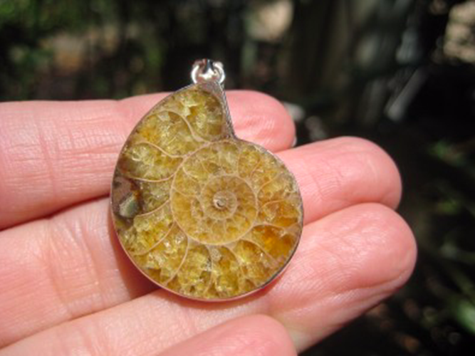 925 Silver African Ammonite fossil pendant necklace era Amber color N3844