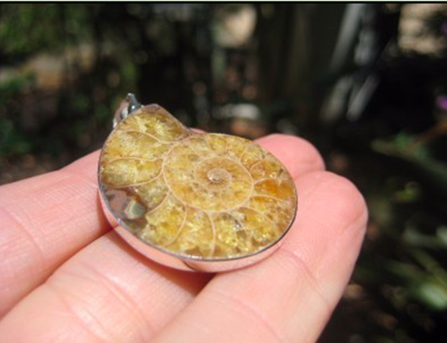 925 Silver African Ammonite fossil pendant necklace era Amber color N3844