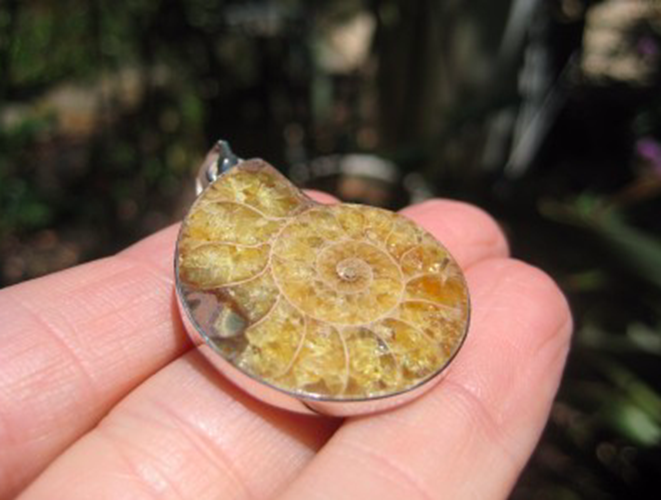 925 Silver African Ammonite fossil pendant necklace era Amber color N3844
