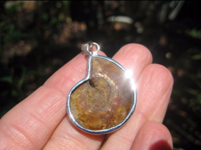925 Silver African Ammonite fossil pendant necklace era Amber color N3844