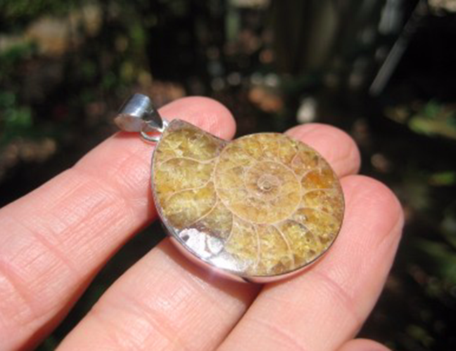 925 Silver African Ammonite fossil pendant necklace era Amber color N3844