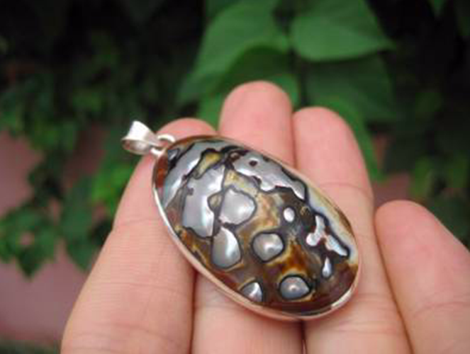 925 Silver African Turban Shell pendant Thailand jewelry art AN799