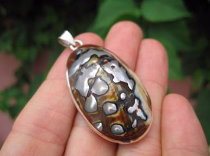 925 Silver African Turban Shell pendant Thailand jewelry art AN799