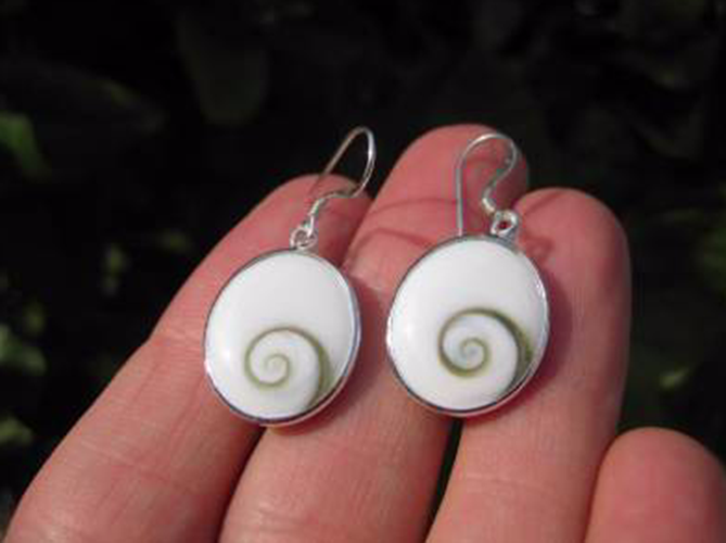 925 Silver Shiva eye shell earrings earring Thailand jewelry art AN2455