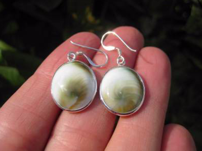 925 Silver Shiva eye shell earrings earring Thailand jewelry art AN2455