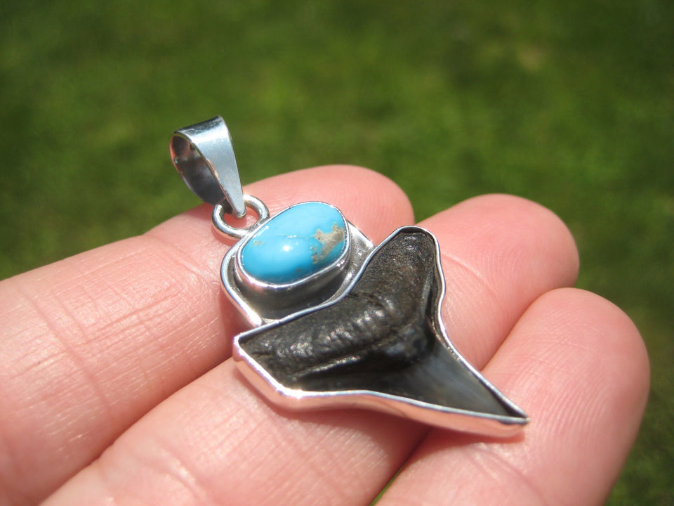 925 Silver Arizona Turqouise Shark Tooth Fossil Pendant Nepal Jewelry A4532
