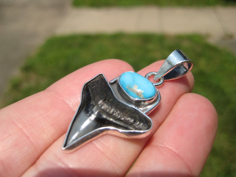 925 Silver Arizona Turqouise Shark Tooth Fossil Pendant Nepal Jewelry A4532