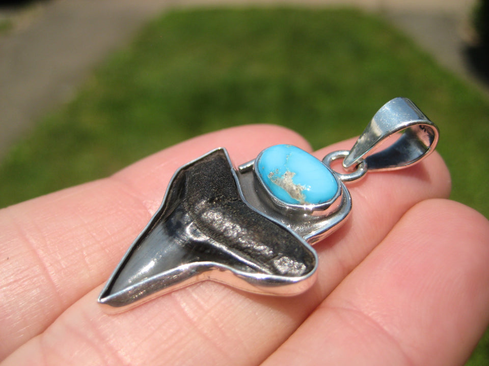 925 Silver Arizona Turqouise Shark Tooth Fossil Pendant Nepal Jewelry A4532