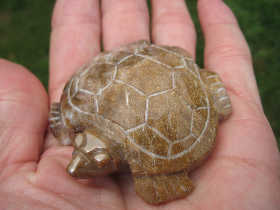 Natural Petrified Wood Turtle  Carving Statue Northern Thailand A367743