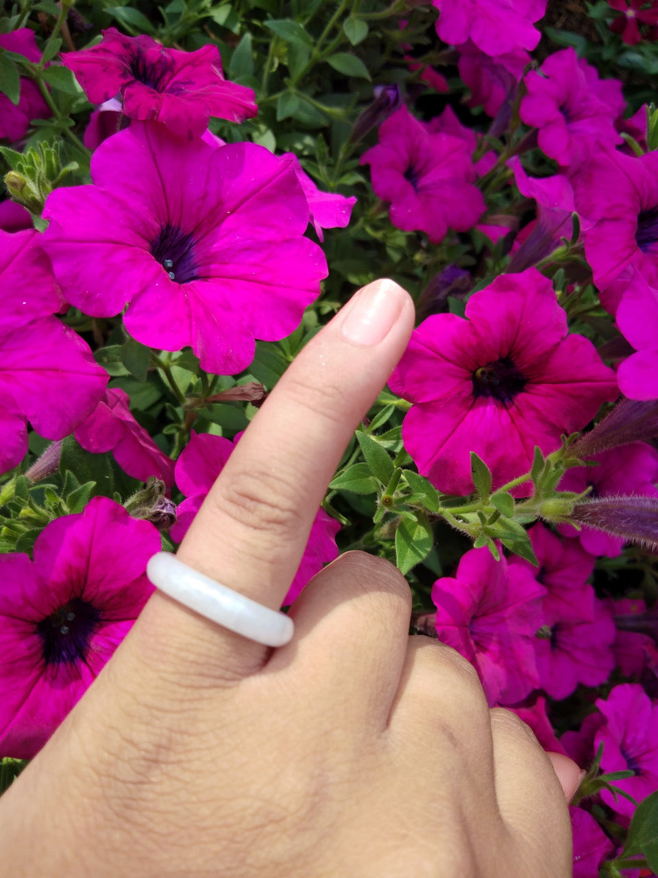 Natural Jadeite Jade ring Thailand jewelry stone mineral size  6.5 US  EB 055