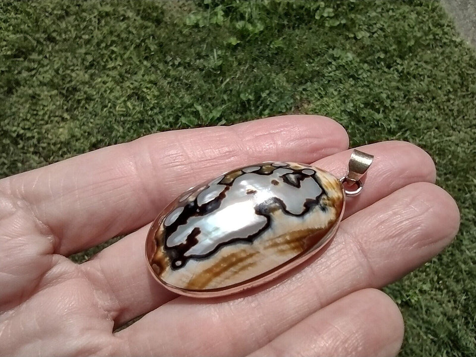 925 Sterling Silver Agrican Turban Shell Pendant CH6244