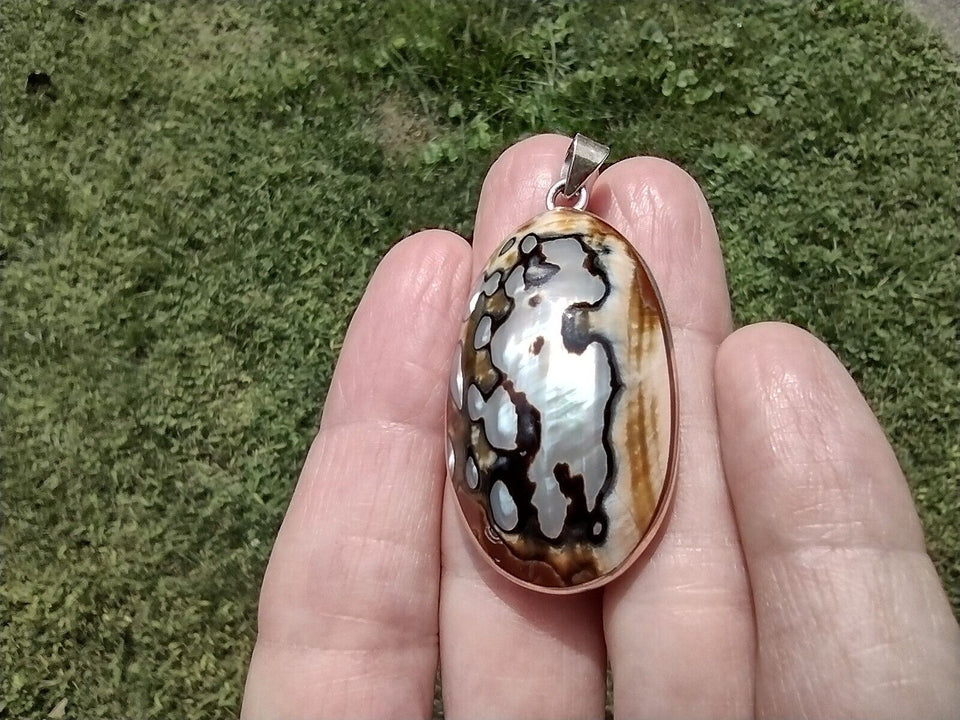 925 Sterling Silver Agrican Turban Shell Pendant CH6244