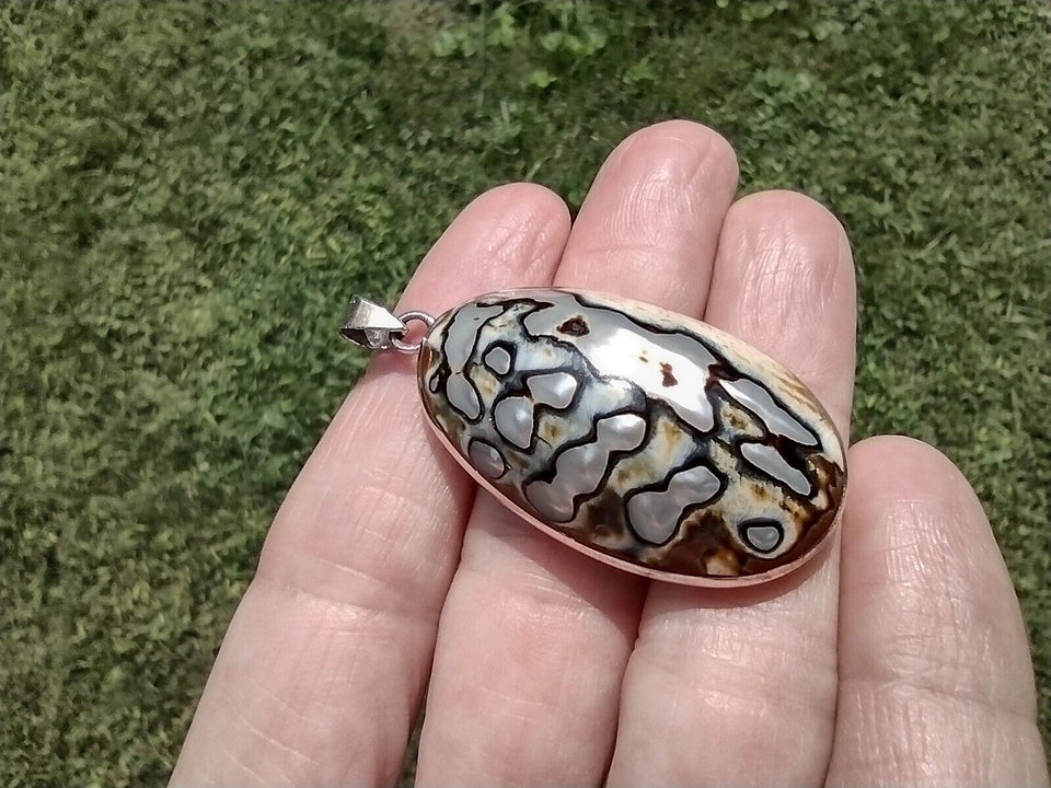 925 Silver Turban Shell Pendant Ch6223