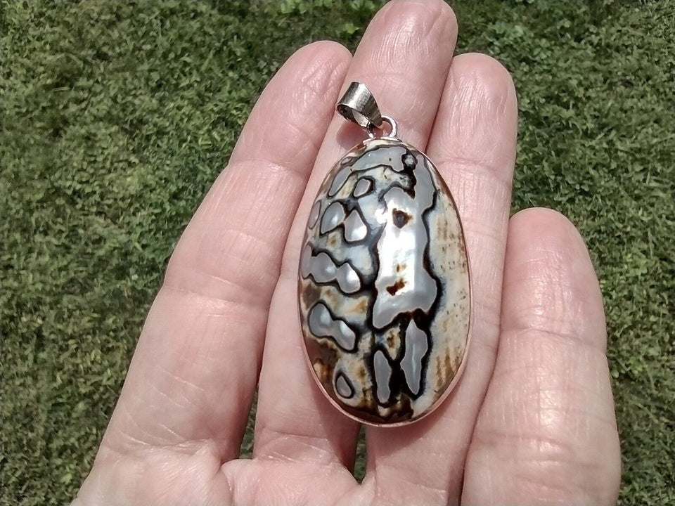 925 Silver Turban Shell Pendant Ch6223