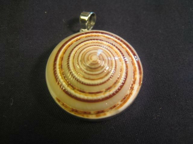 925 Silver Shell Pendant Jewelry Art Thailand N4877