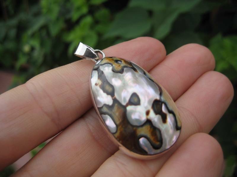 925 Silver African Turban Shell pendant N 3833