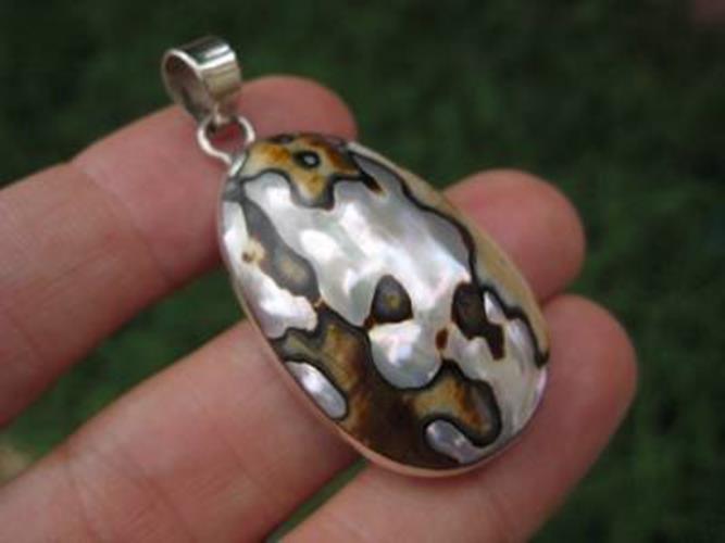 925 Silver African Turban Shell pendant N 3833