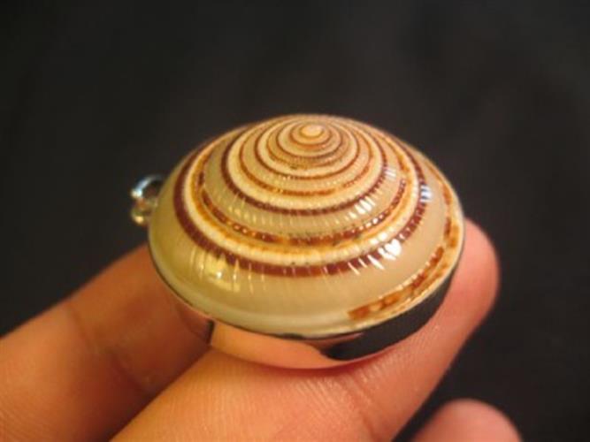 925 Silver Shell Pendant Jewelry Art Thailand N4877