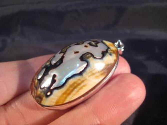 925 Silver African Turban Shell pendant Thailand jewelry  N 2977