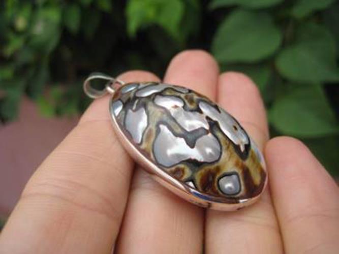 925 Silver African Turban Shell pendant Thailand N3877