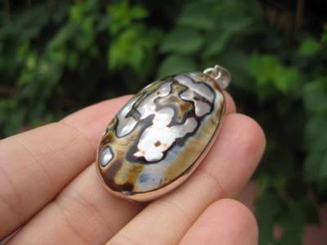 925 Silver African Turban Shell pendant Thailand N3877