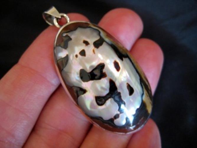 925 Silver African Shell pendant Thailand jewelry   N8655