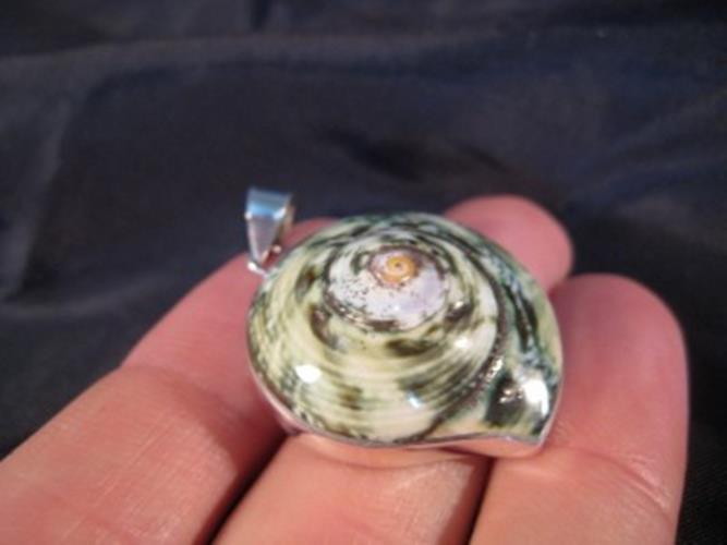 925 Silver Green Turban Shell pendant necklace Thailand N3766
