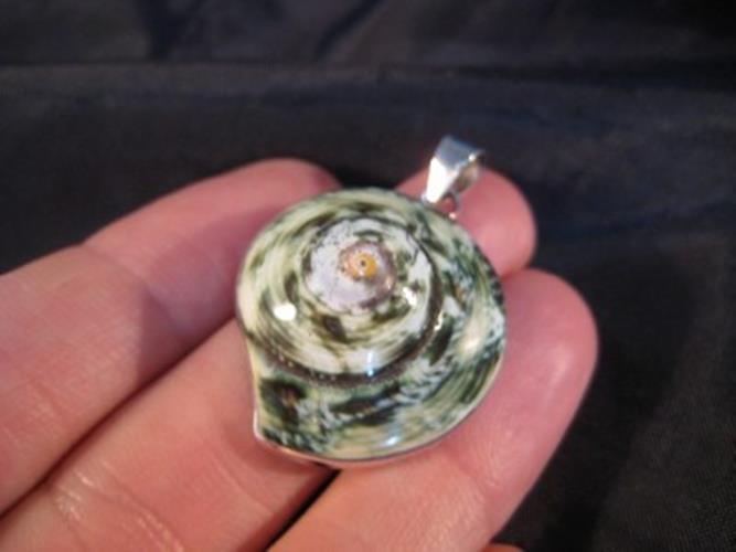 925 Silver Green Turban Shell pendant necklace Thailand N3766